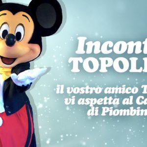 Incontra Topolino